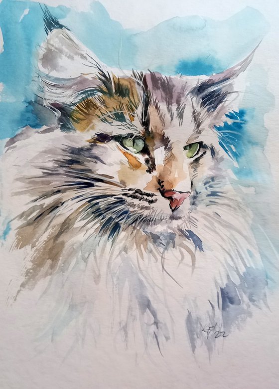 Cat portrait