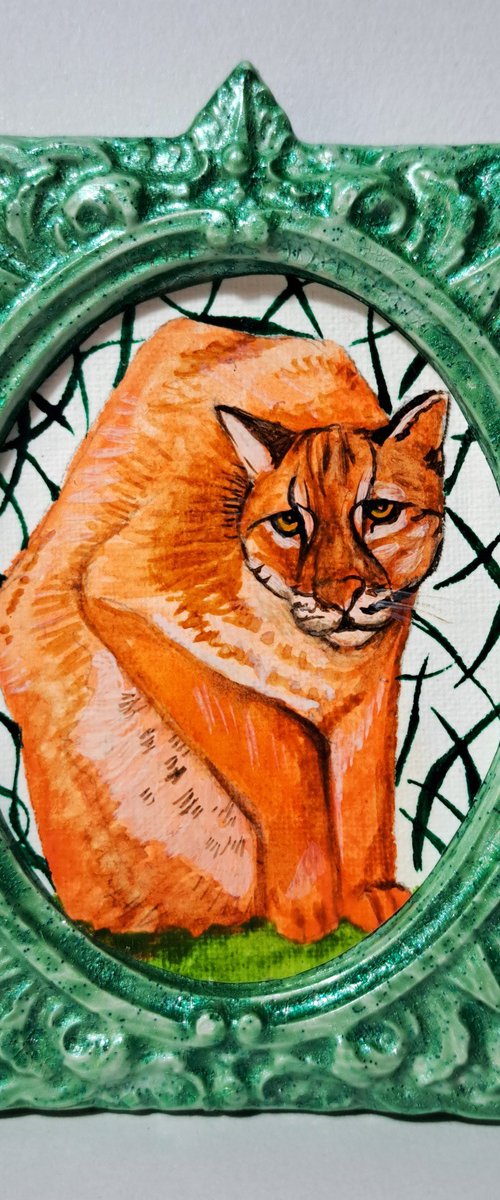 Asiatic golden cat by Andromachi Giannopoulou