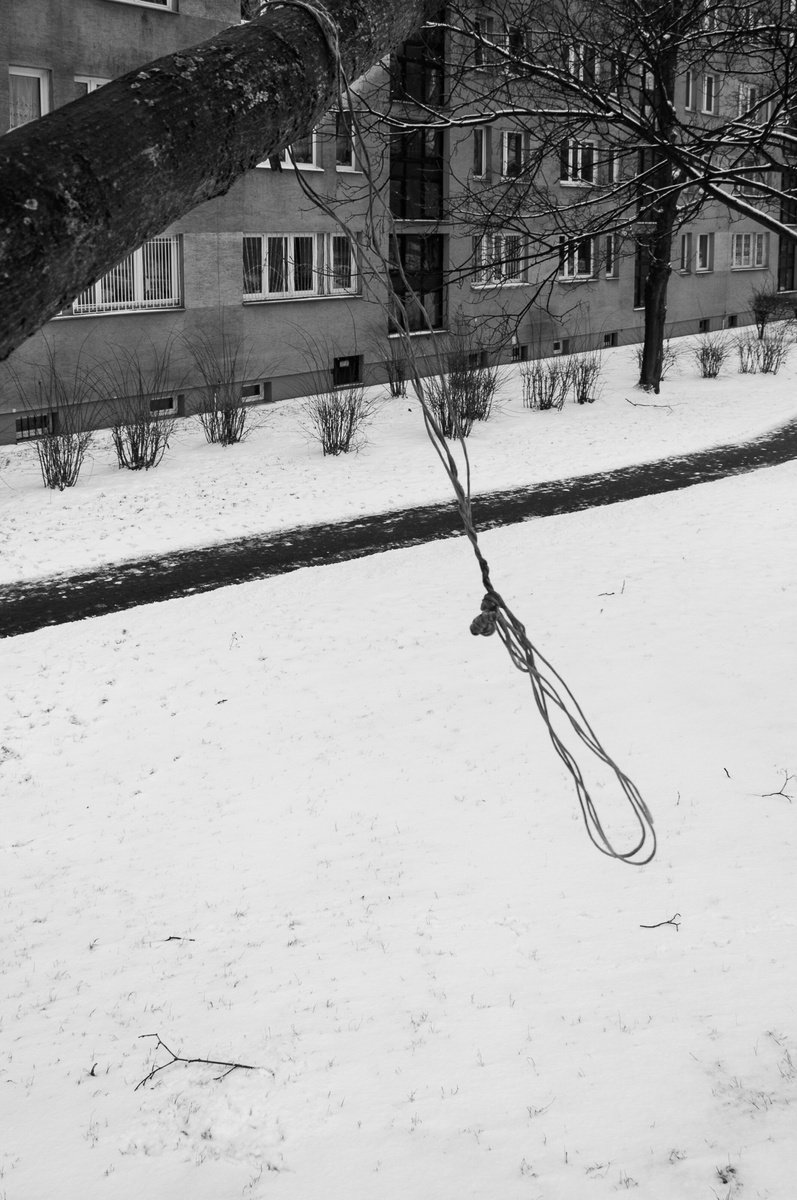 Noose (from Death set) by Adam Mazek