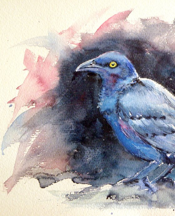 Bird