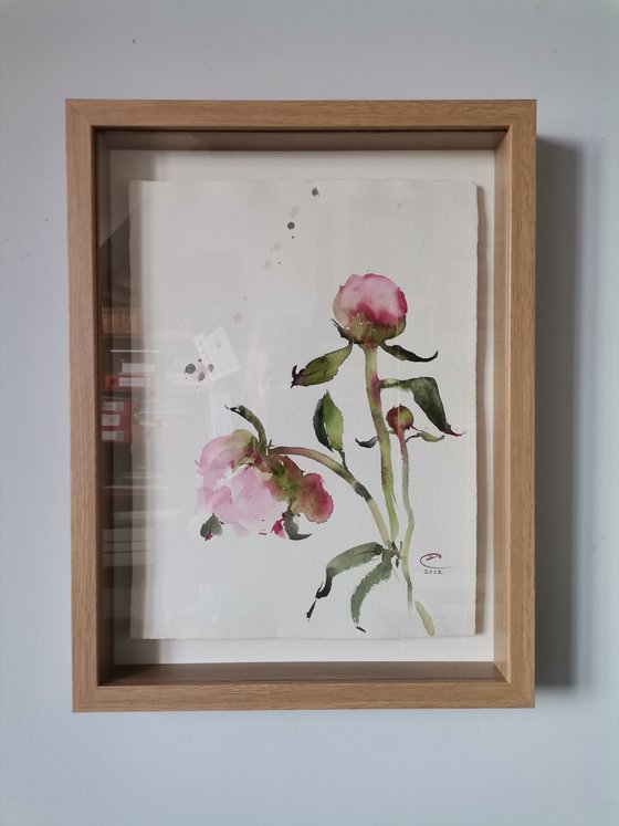 Peonies #1