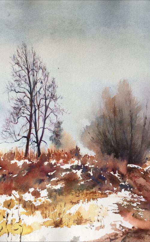 First snow in Sablino. #3 by Irina Bibik-Chkolian