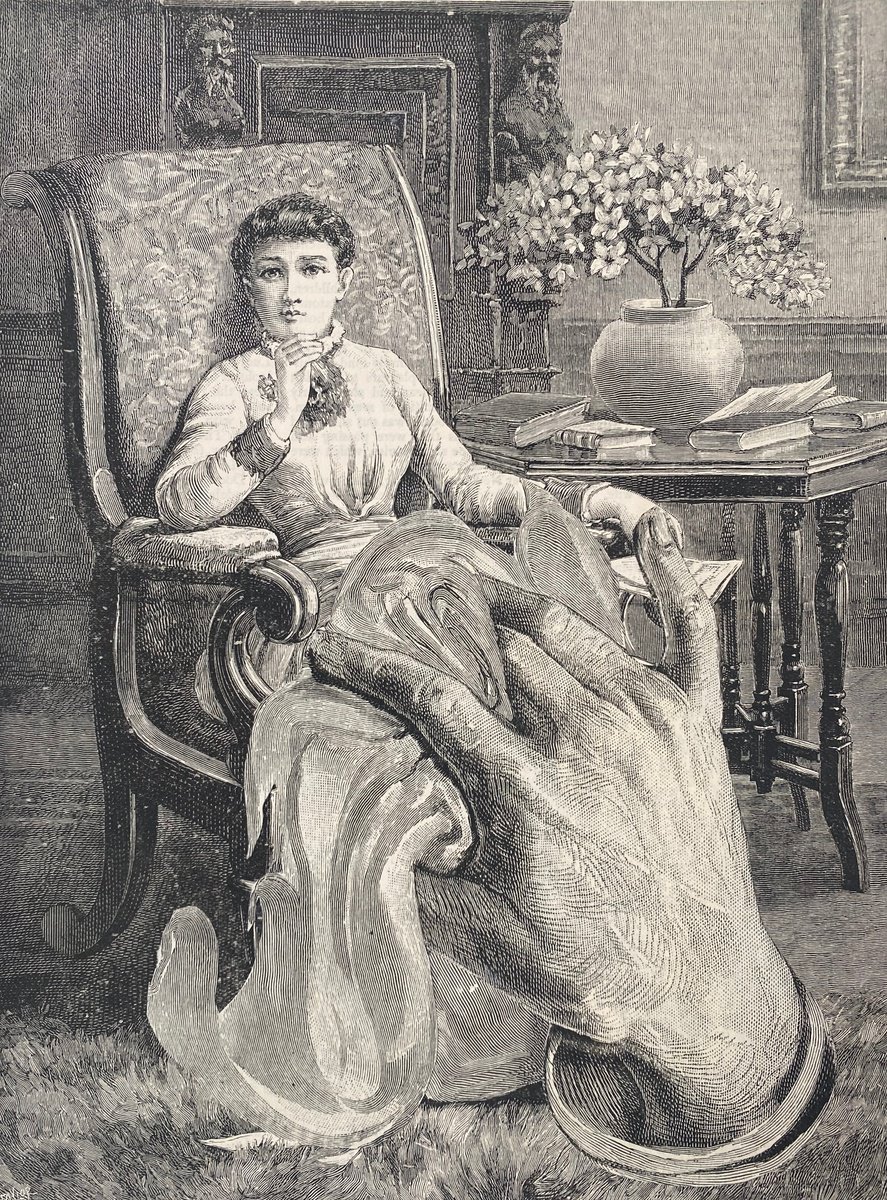 Surrealistic Portrait Collage By Tudor Evans, 7 X 9", Sleeping, Original Artwork