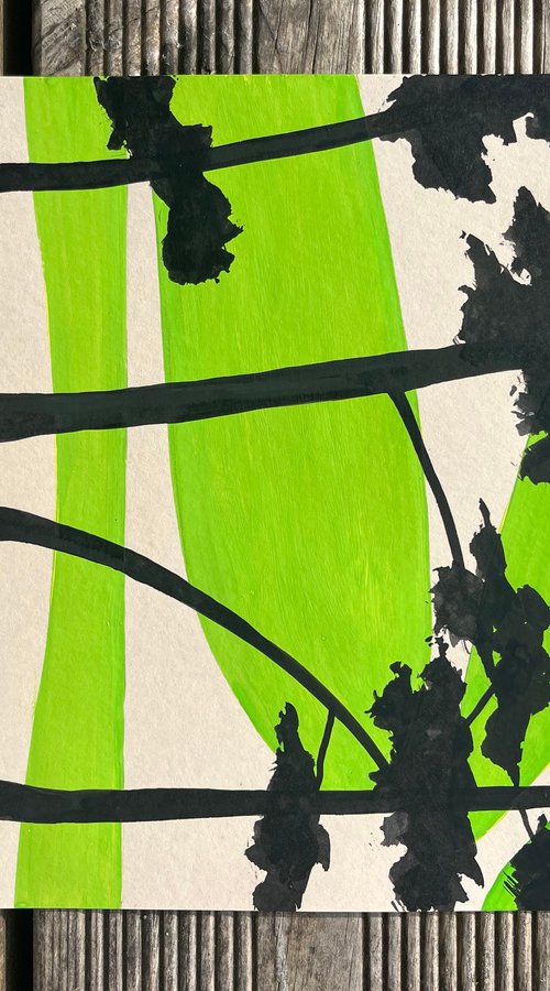 Green sun at Cap Coz by Cadiou Frederic