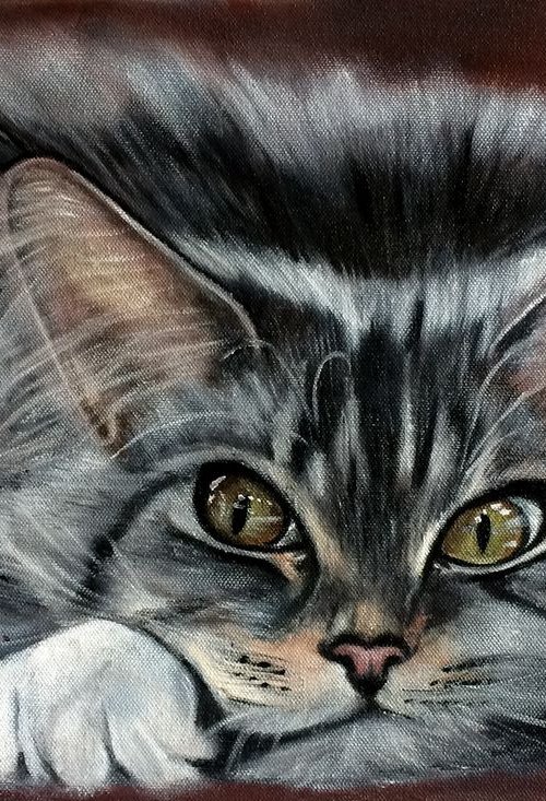 Who are you? Realistic painting  lovely Cat by Ira Whittaker