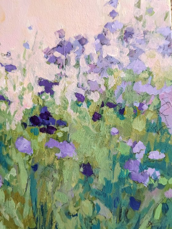 Garden Lavenders