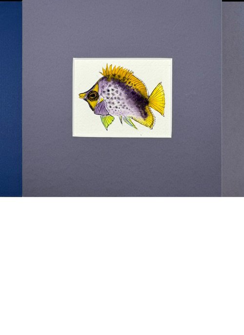 Three Exotic colorful fish by Yuliia Sharapova