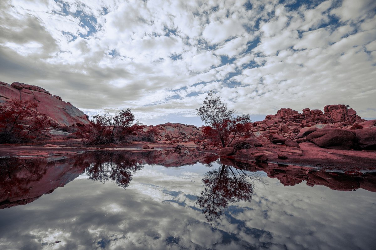 Desert Reflections by Mark Hannah
