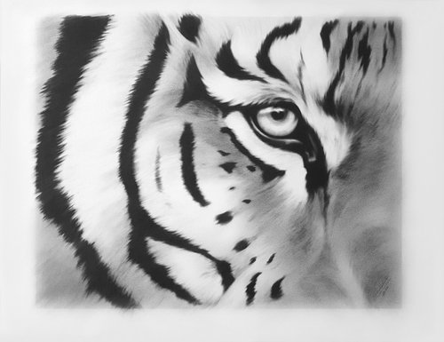 Tiger by ANNA CHOLAK