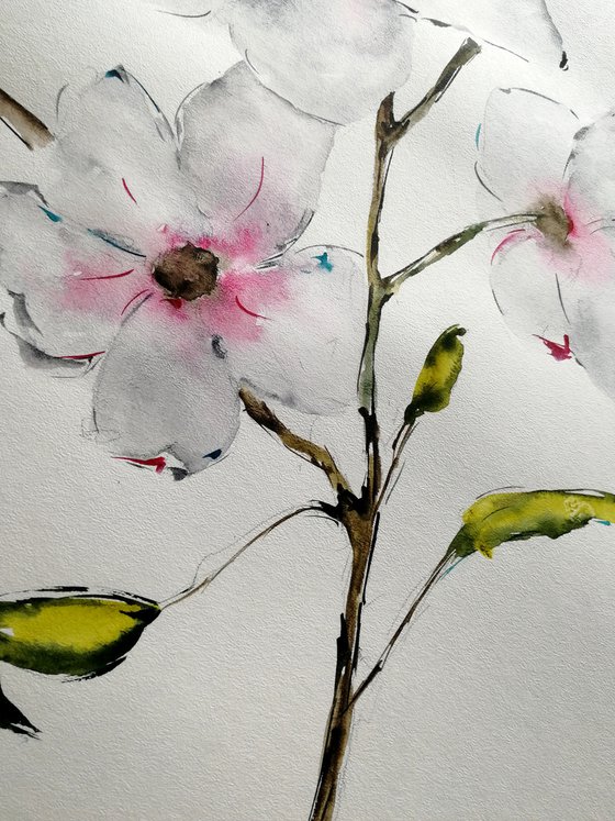 Magnolia painting. Blossoms painting