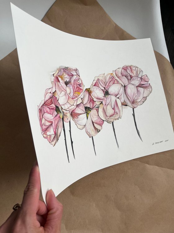 Pink roses pastel