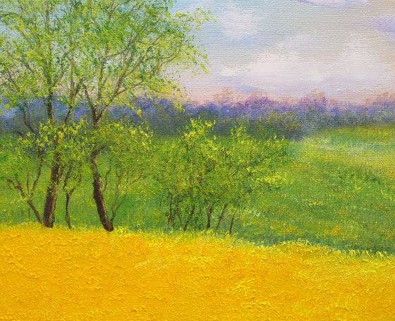 Sunrise at the wheat field