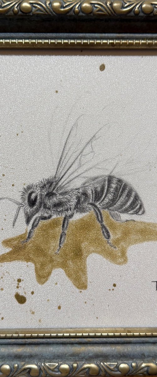 Bee and honey by Tina Shyfruk