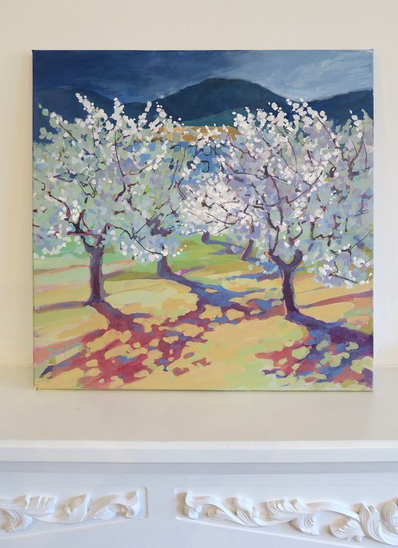 Almond Orchard, Jalo Valley