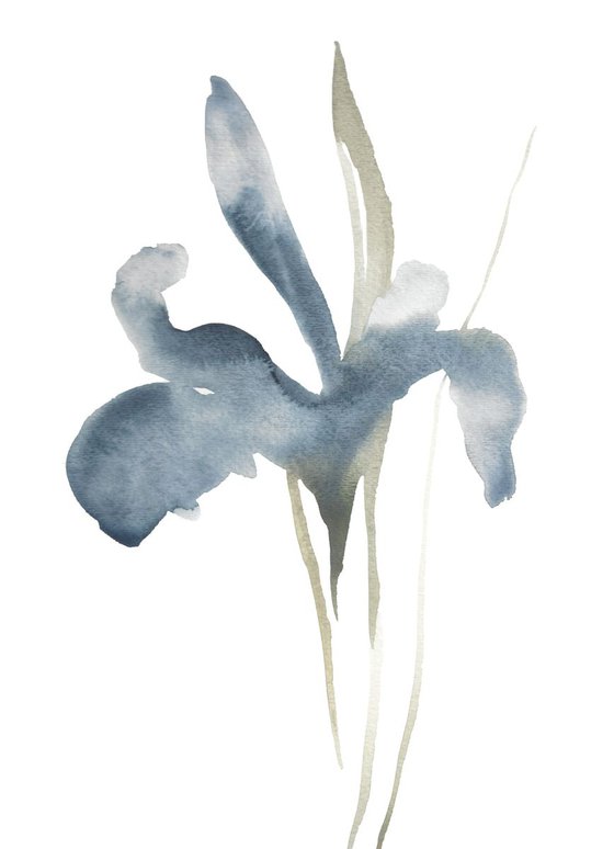 Iris No. 35