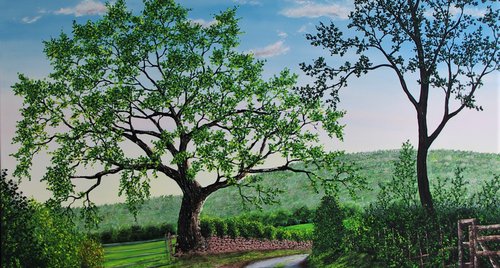 Artwork by Hazel Thomson