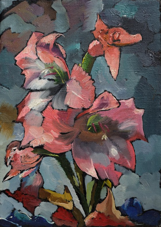 Gladiolus