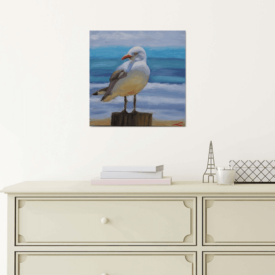 Sea gull