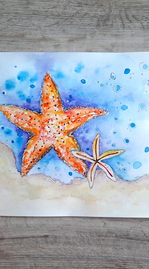 Caribbean starfish by Luba Ostroushko