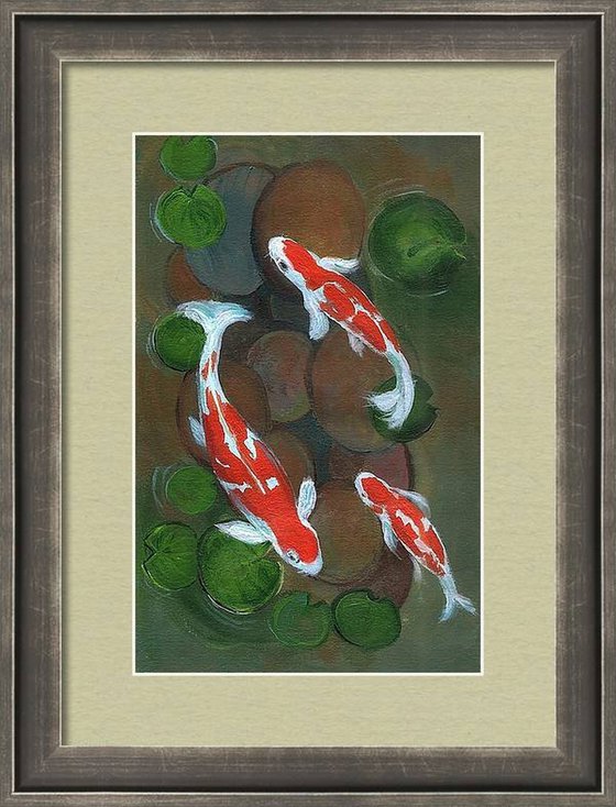 Koi fish in water lily pond