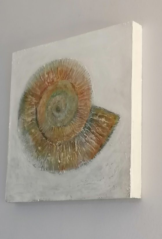 Life Traces - Ammonite
