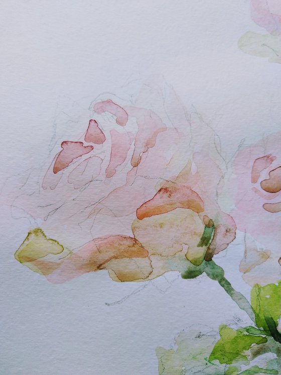 Roses. Original watercolour painting.