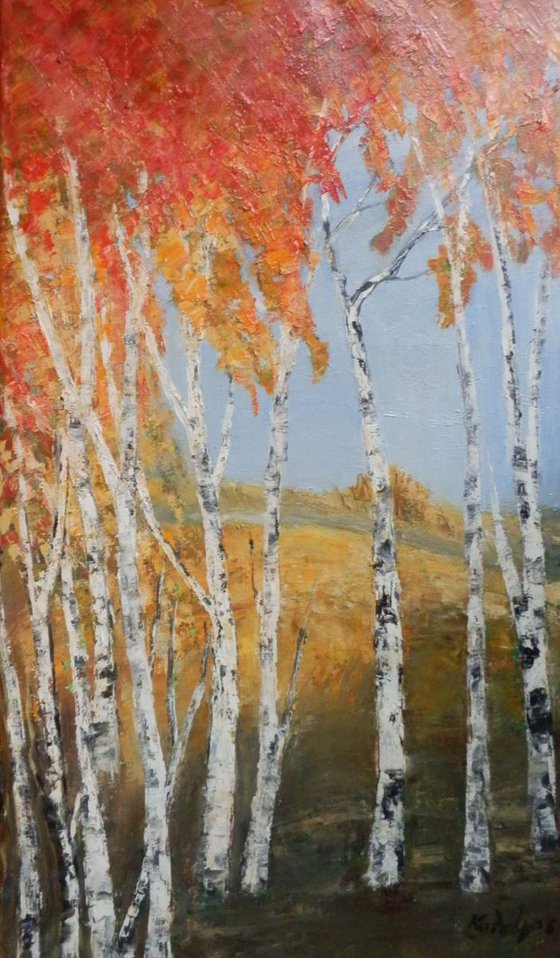 Birches forest
