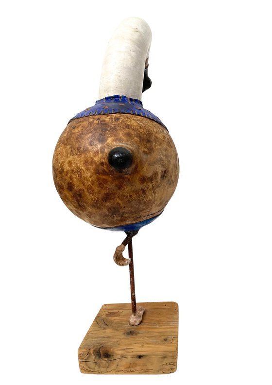 The blue goose