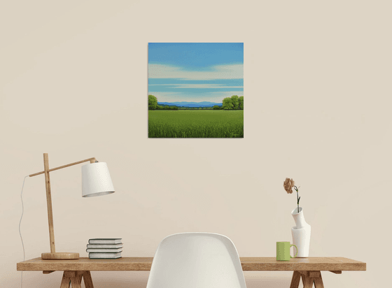 Green Meadow - Blue Sky
