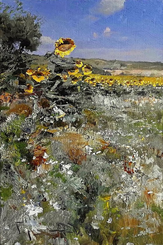 Summer field