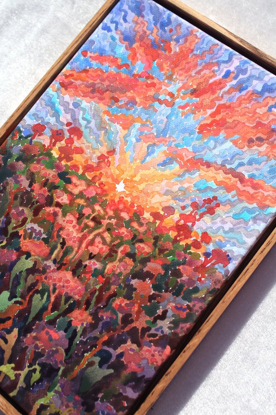 Sunset in the Buckwheat field