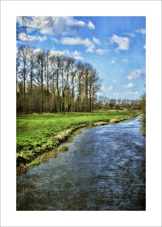 River and Trees