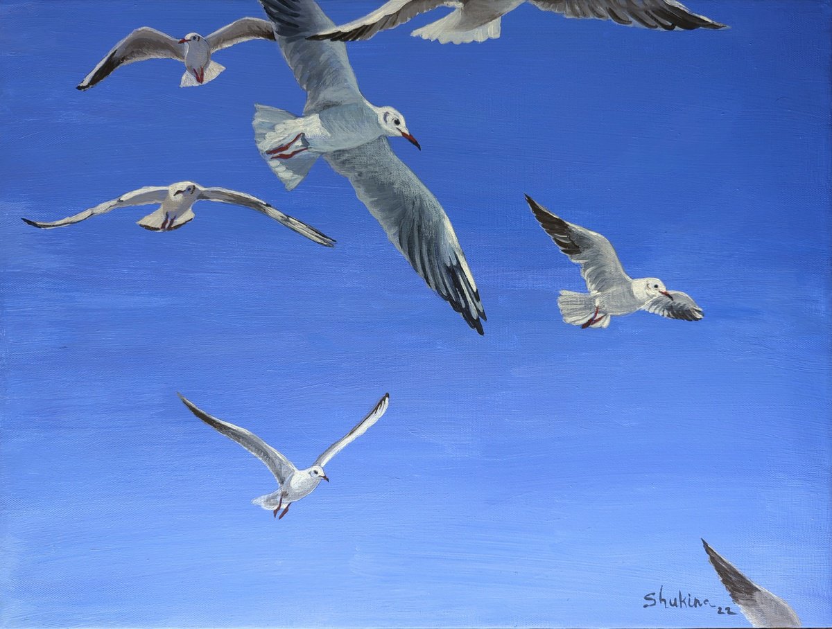 Landscape Acrylic Painting By Helen Shukina, 24 X 18, Heavens And Seagulls, Original Artwork