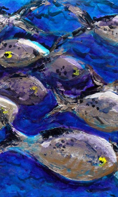 Belize Reef II by Paul J Best