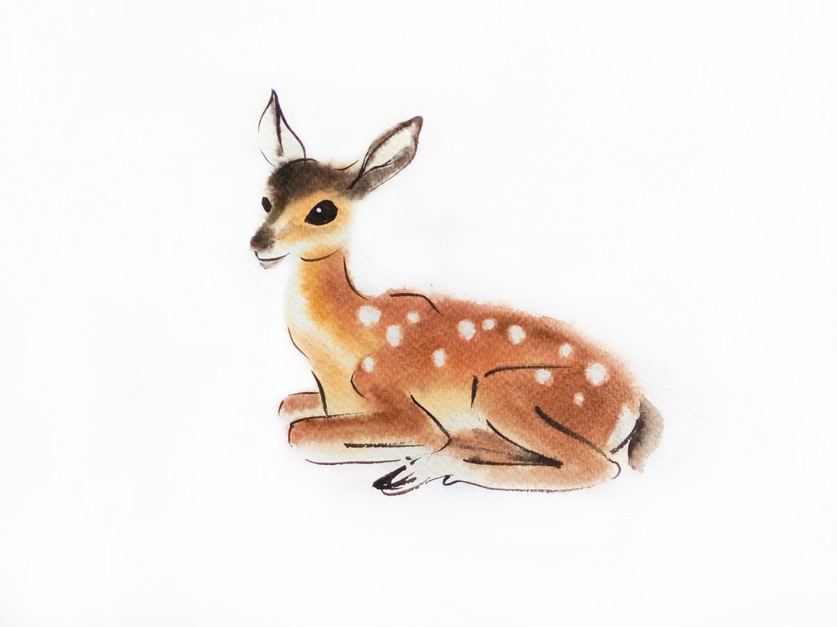 Fawn Lying Down by Olga Beliaeva Watercolour