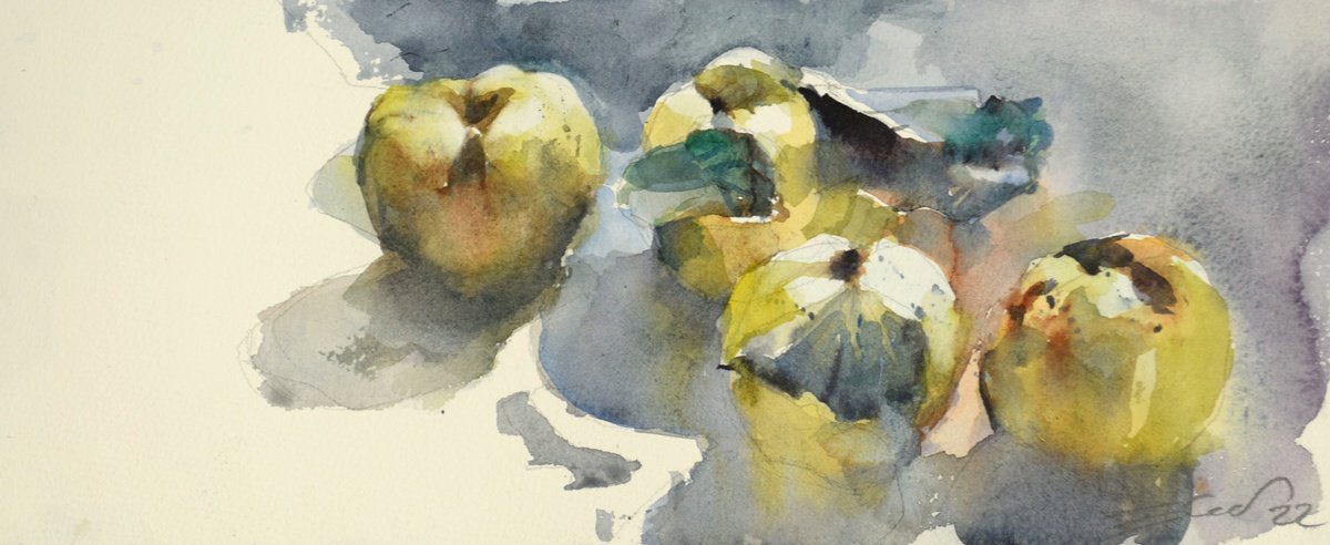 4 quinces by Goran �igoli? Watercolors