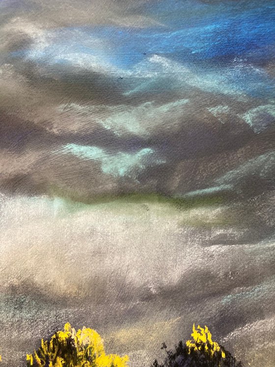 After the rain