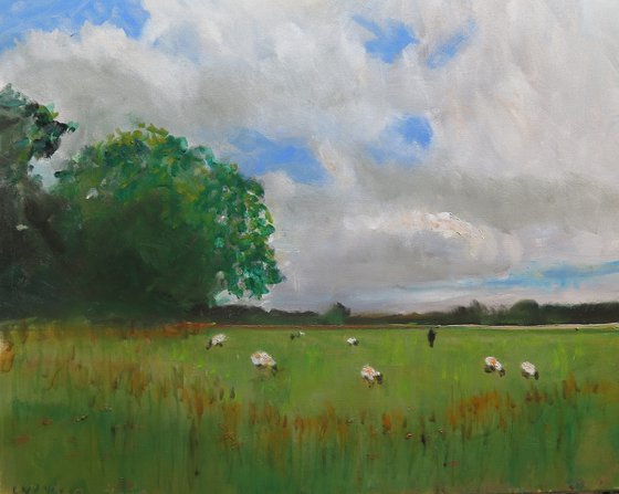 Tilmire Common