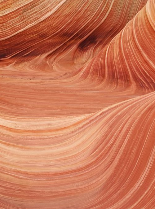 The Wave in the Coyote Buttes by Alex Cassels