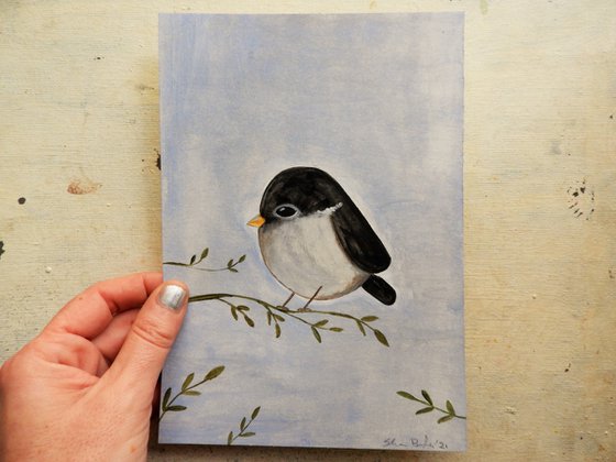 The small bird in black and gray