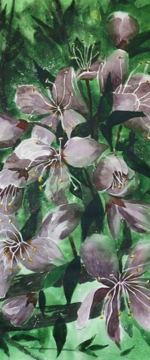 "Wild plum flowers"2021 Watercolor on paper 60x42 by Eugene Gorbachenko