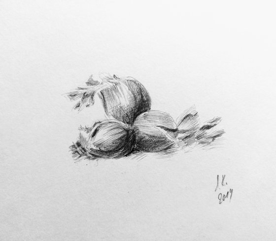 Still life with nuts. Original pencil drawing