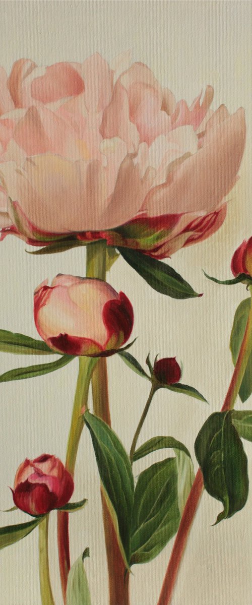 Etude with peony buds by Julia Diven