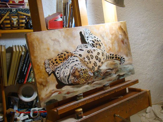 Half sleep, portrait of a jaguar by Anne Zamo