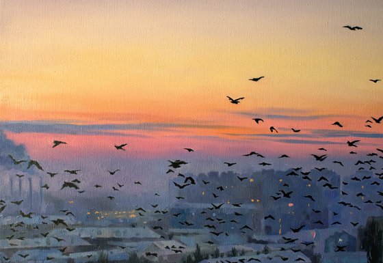 Flock at First Light