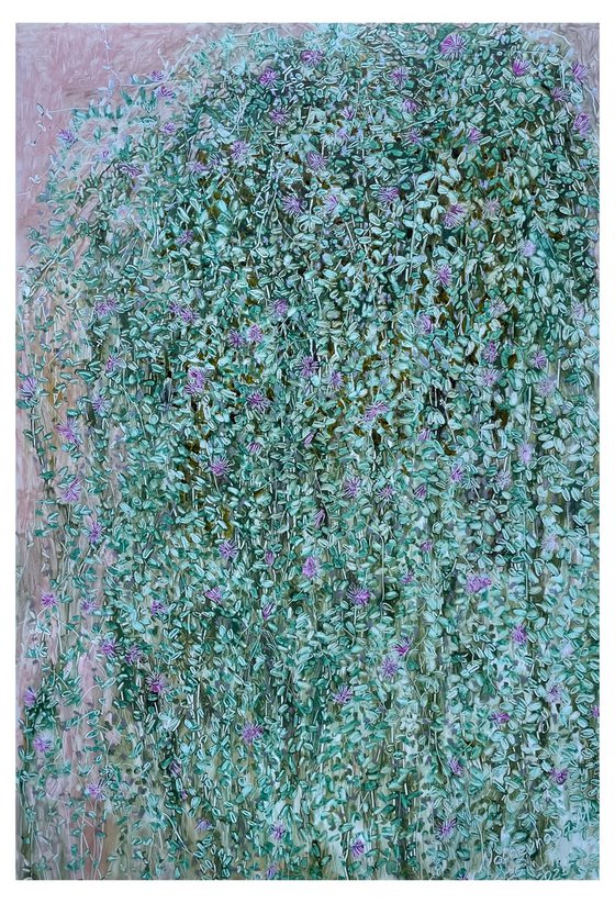 DROSANTHEMUM FLORIBUNDUM