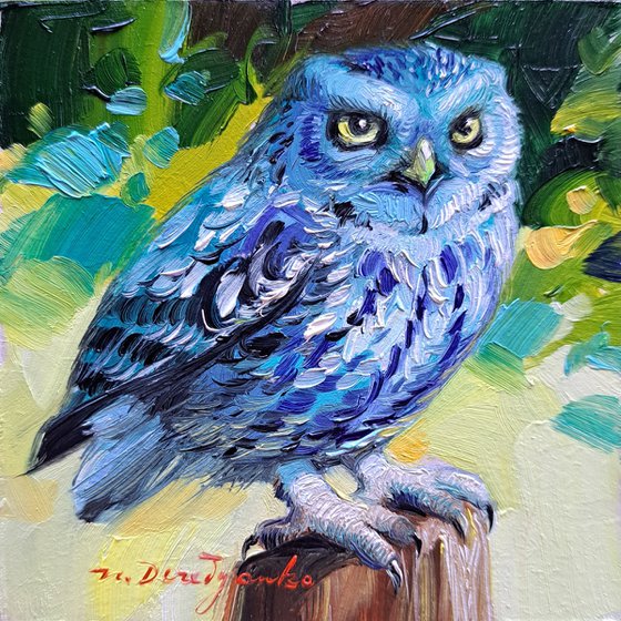 Owl bird blue