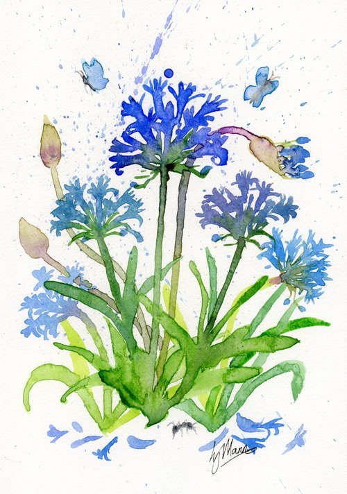 Agapanthus and Ant by Lisa Mann