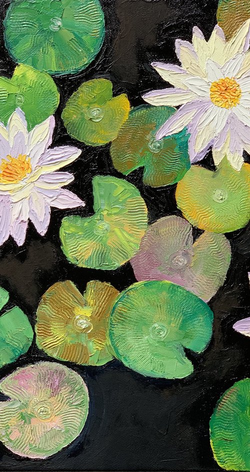 3 water lilies by Amita Dand