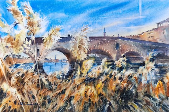 Sunlight under the bridge. Ponte Pietra